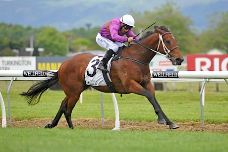 Robbie Hannam has Father Lenihan humming down the home straight at Awapuni. PHOTO: Race Images.