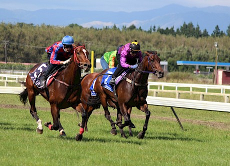 Authentic Charm, very big in condition, but still too good for her Levin jumpout rivals. PHOTO: Royden Williams.