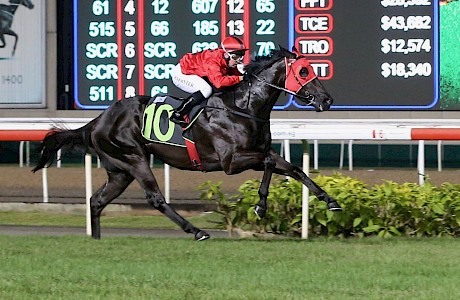Bold Thruster is an eyefull as he powers to the line. PHOTO: Singapore Turf Club.