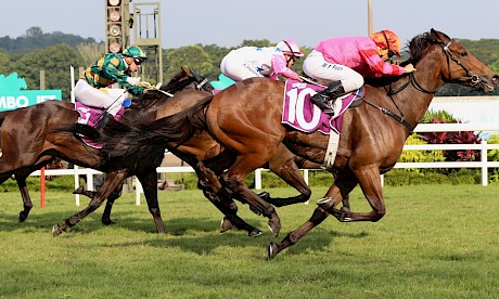 Matthew Poon, outer, gets up on Preditor in the last stride to nail the Jumbo Jet Trophy in August. PHOTO: Singapore Jockey Club.