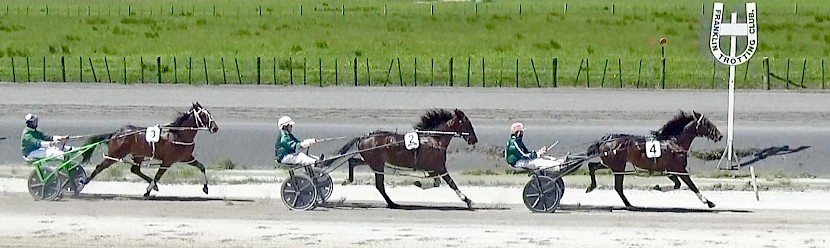 Perfect Stride leads Man Of Action and Sir Tiger with a lap to run in their mile qualifying heat at Pukekohe today.