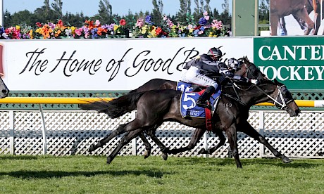 Kamanda Lincoln, pictured beating Oligarch a neck 12 months ago, tackles the same race at Riccarton on Wednesday.