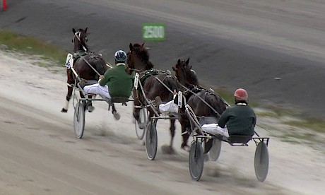 Auckland 17 November 2018 Race 6