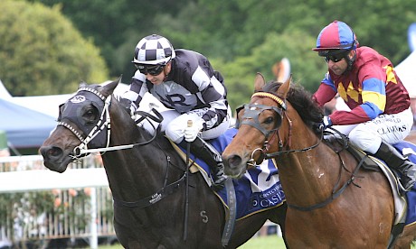 Kamanda Lincoln, left, shows his staying qualities to win over 2500 metres again at Riccarton. Alongside is third-placed Abacus. PHOTO: AJ Berry/Race Images