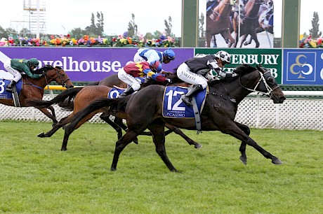 Kamanda Lincoln is too strong for Taxihome, inner, and Abacus at Riccarton on Saturday. PHOTO: AJ Berry/Race Images.