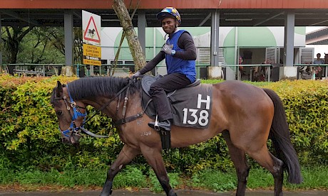 Miracle Time’s track rider gives the thumbs up.