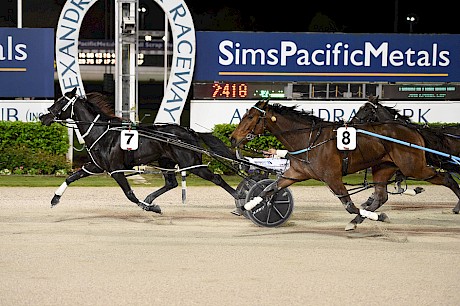 Northview Hustler, pictured beating Star Galleria in the Spring Cup, meets far weaker opposition on Friday night. PHOTO: Race Images.