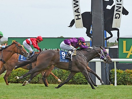 Miss Oahu photofinishes Sophia Magia at Hastings in March. PHOTO: Race Images.