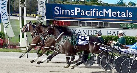 Only heads separate Sir Tiger, inner, Man Of Action, centre, and Perfect Stride at the finish of their workout at Alexandra Park on Friday night.