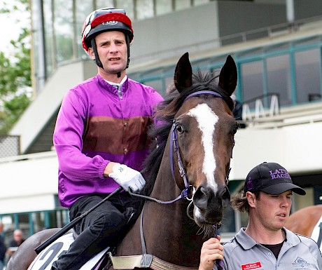 Johnathan Parkes takes Lincoln Falls out today. He will ride the colt at Trentham on Saturday week. PHOTO: Royden Williams.