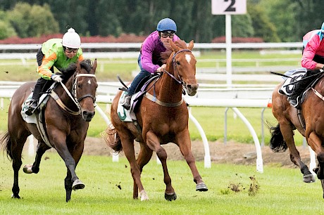 Lincoln Hills, centre, fighting out the finish at the trials today. PHOTO: Royden Williams.