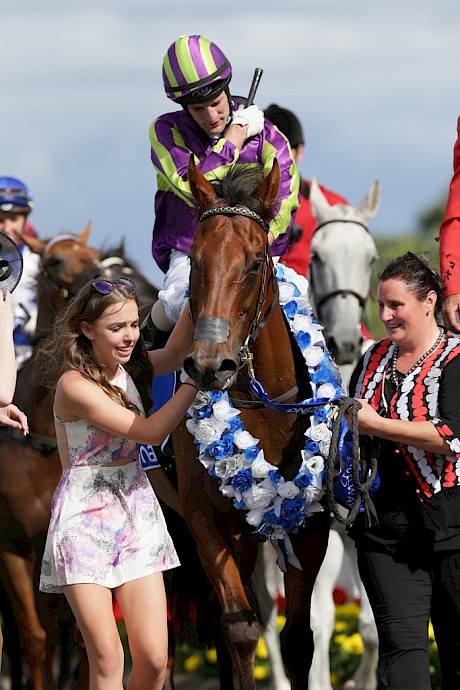 Johnathan Parkes knows how good Start Wondering is … he’s pictured here bringing the top sprinter back to scale.