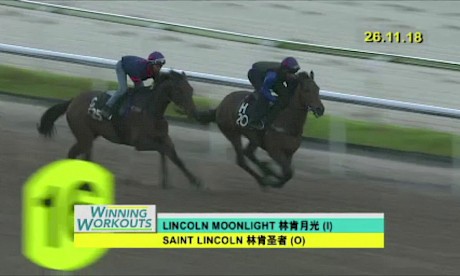 Lincoln Moonlight trackwork