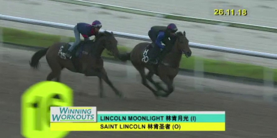 Lincoln Moonlight trackwork