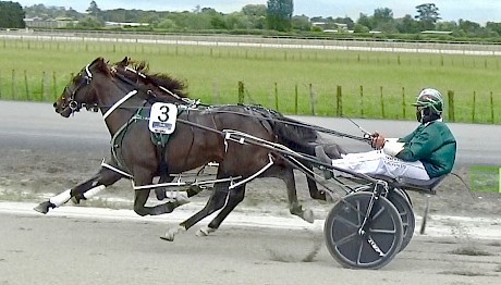 Perfect Stride, outer, and Man Of Action are in perfect unison as they let rip for home at Pukekohe today.