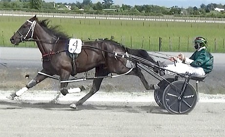 Zealand Star (Andre Poutama) made ground stylishly late.