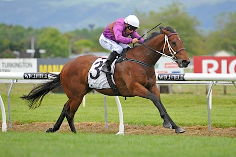 Father Lenihan … wet track and 1600 metres made to order for him. PHOTO: Race Images.