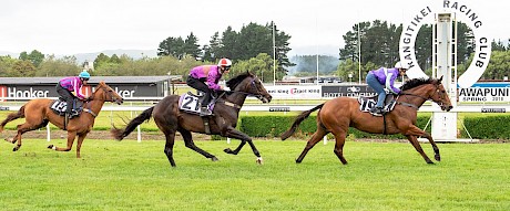 Lincoln Falls has only Group I winning sprinter Start Wondering ahead of him at the finish of his trial. Third placed Blondlign franked the form when scoring a hat-trick three days later. PHOTO: Royden Williams.