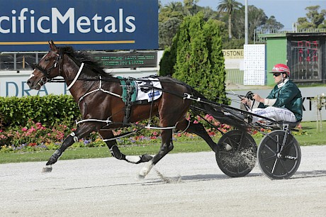 Double Or Nothing rolls along in front for Zachary Butcher. PHOTO: Trish Dunell.