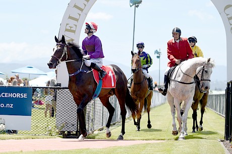 Johnathan Parkes brings Lincoln Falls back to scale. PHOTO: Peter Rubery/Race Images.