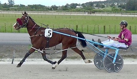 Trainer Jack Harrington gives Jeremy Wells a spin round Pukekohe.