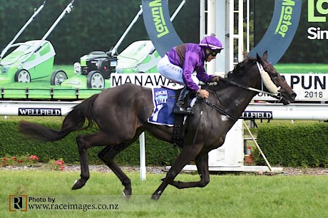 Lincoln Star makes it look easy with a clearcut win at Awapuni. PHOTO: Race Images.