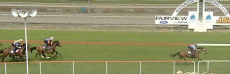 The White Queen is cruising six lengths clear of her rivals at the Matamata trials.