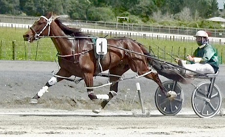 All-the-way winner Phil Bromac in full flight for Zachary Butcher.