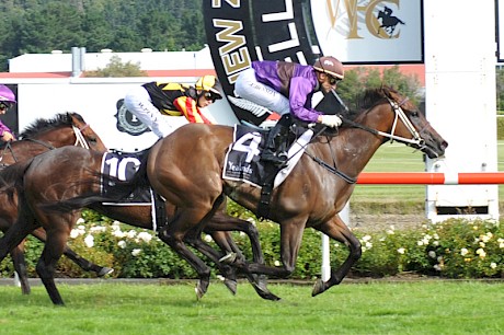 Opie Bosson times his run to perfection at Trentham with the progressive Lincoln Raider. PHOTO: Race Images.
