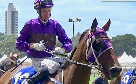 Johnathan Parkes brings Princess Amelie back to scale at Ellerslie.