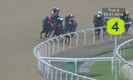 Lincoln Moonlight wins trial