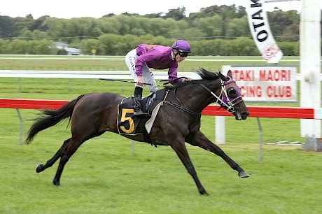 Lincoln Melody … cruising home in her upset first-up win. PHOTO: Race Images.