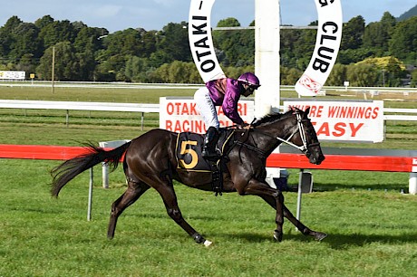 Platinum Invador and Robbie Hannam are three lengths clear and cruising at the finish yesterday. PHOTO: Race Images.