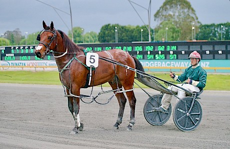 Mathew James … good looking customer who resumes in the ninth race. PHOTO: FokusPhotography.