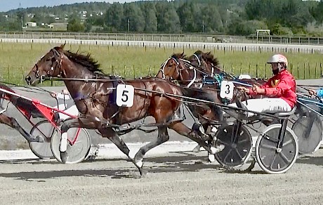 Zeuss Bromac strides out for trainer Zachary Butcher.