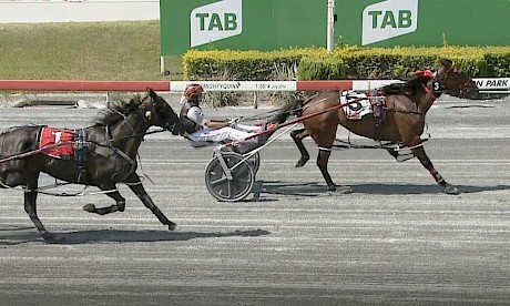 Lincoln Road has Novena Rose well covered at Albion Park yesterday.