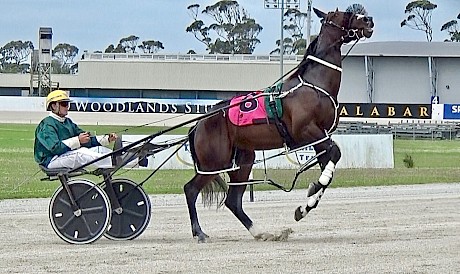 Double Or Nothing in playful mood for David Butcher before his last start.