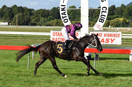 Platinum Invador bolts home in his first try over a middle distance at Otaki. PHOTO: Race Images.
