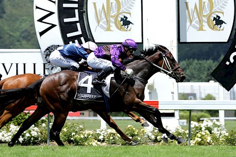 Platinum Mam’selle scoring at the Trentham meeting 12 months ago. PHOTO: Race Images.