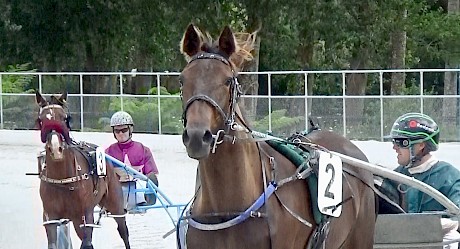 Hilary Barry, foreground, went across the line locked together with Jeremy Wells, left, when they clashed in a trial last month.
