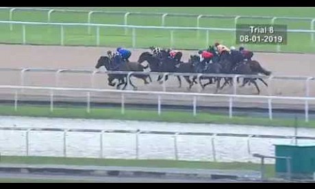 Rock Me Easy wins trial January 8