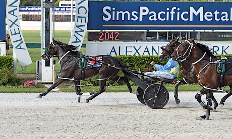 Perfect Stride jogs in for Zachary Butcher with Sir Tiger, outer, and Double Or Nothing next home. PHOTO: Race Images/Joel Gillan.