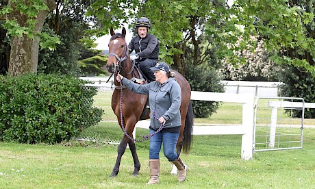 Lincoln Fury … gets everything in his favour at Otaki on Monday. PHOTO: Royden Williams.