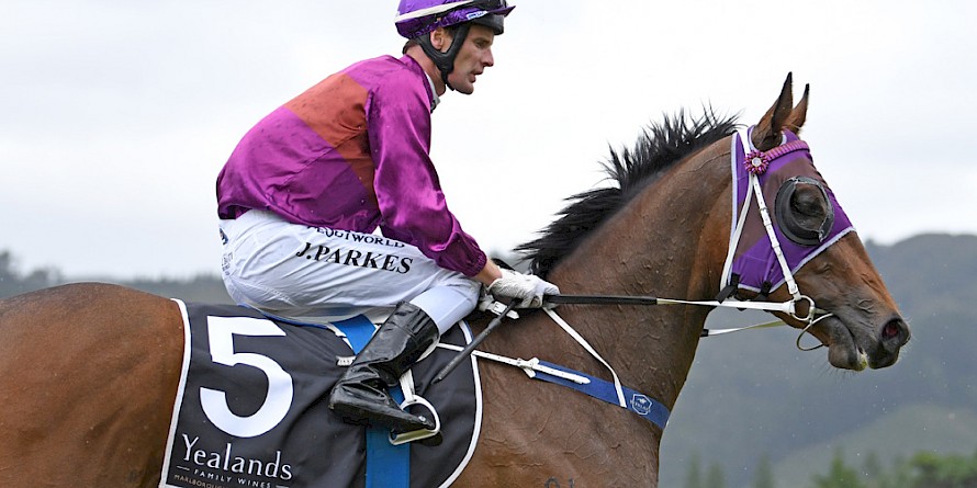 Princess Amelie will need a lot of luck from the outside gate in the Mongolian Khan Trophy at Ellerslie. PHOTO: Race Images.