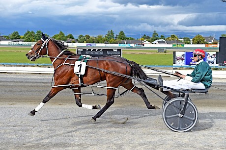 Lincoln’s Girl …won two of her nine starts here. PHOTO: Royden Williams.