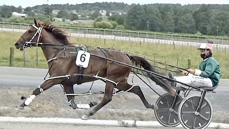 Hilary Barry is pacing sweetly for Zachary Butcher in her all-the-way win at Pukekohe today.