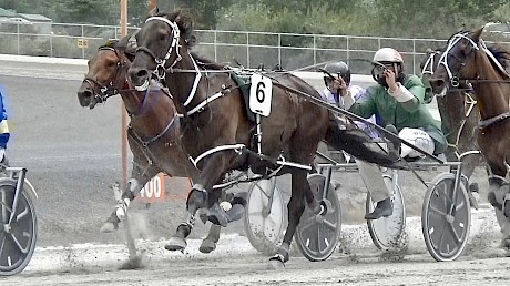 A slap of the reins from Zachary Butcher and Zealand Star sets off after leader Let’s Elope at Pukekohe today.