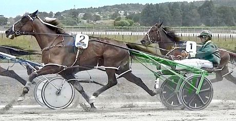 Recco Lover in full stride at the Pukekohe workouts last Saturday.