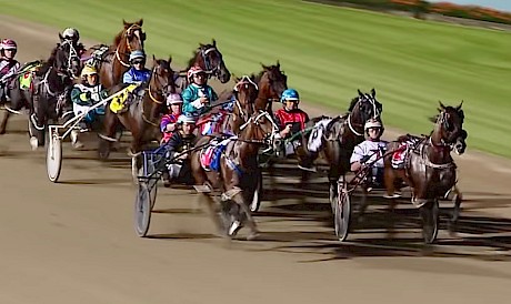 Vasari is about to hand up to Chase Auckland at Menangle last Saturday.