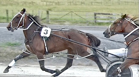 Just Wing It scored a three-quarter length win in his first workout for trainer Ray Green at Pukekohe today.